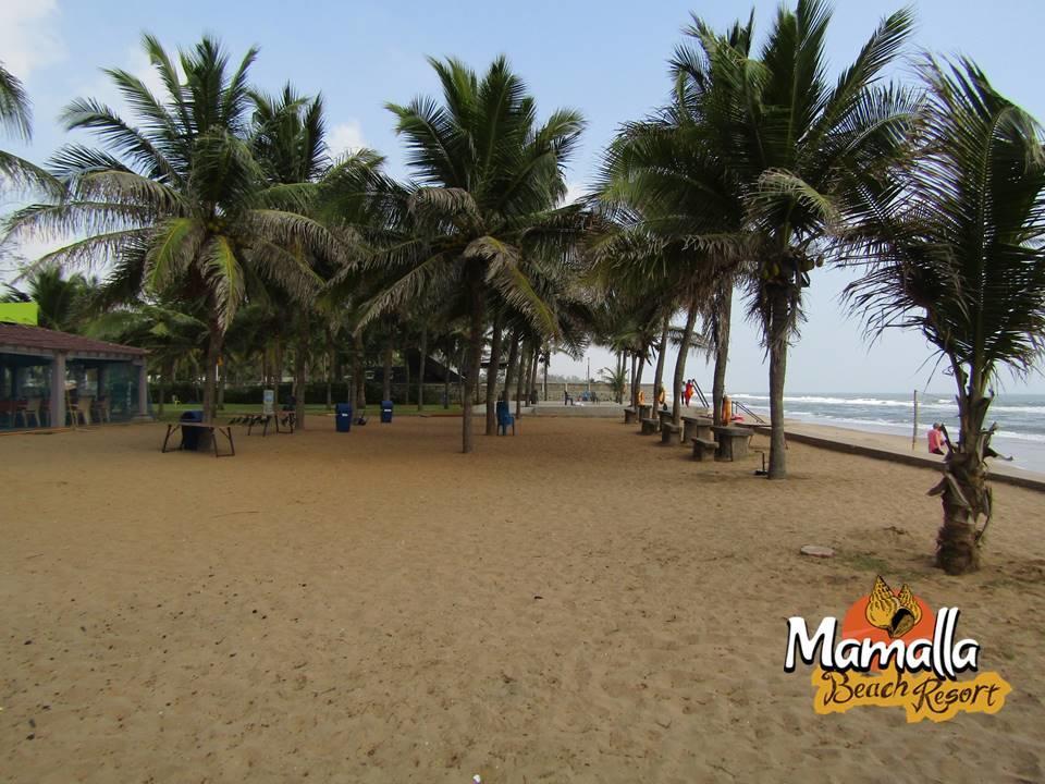 Mamalla Beach Resort Mamallapuram Dış mekan fotoğraf